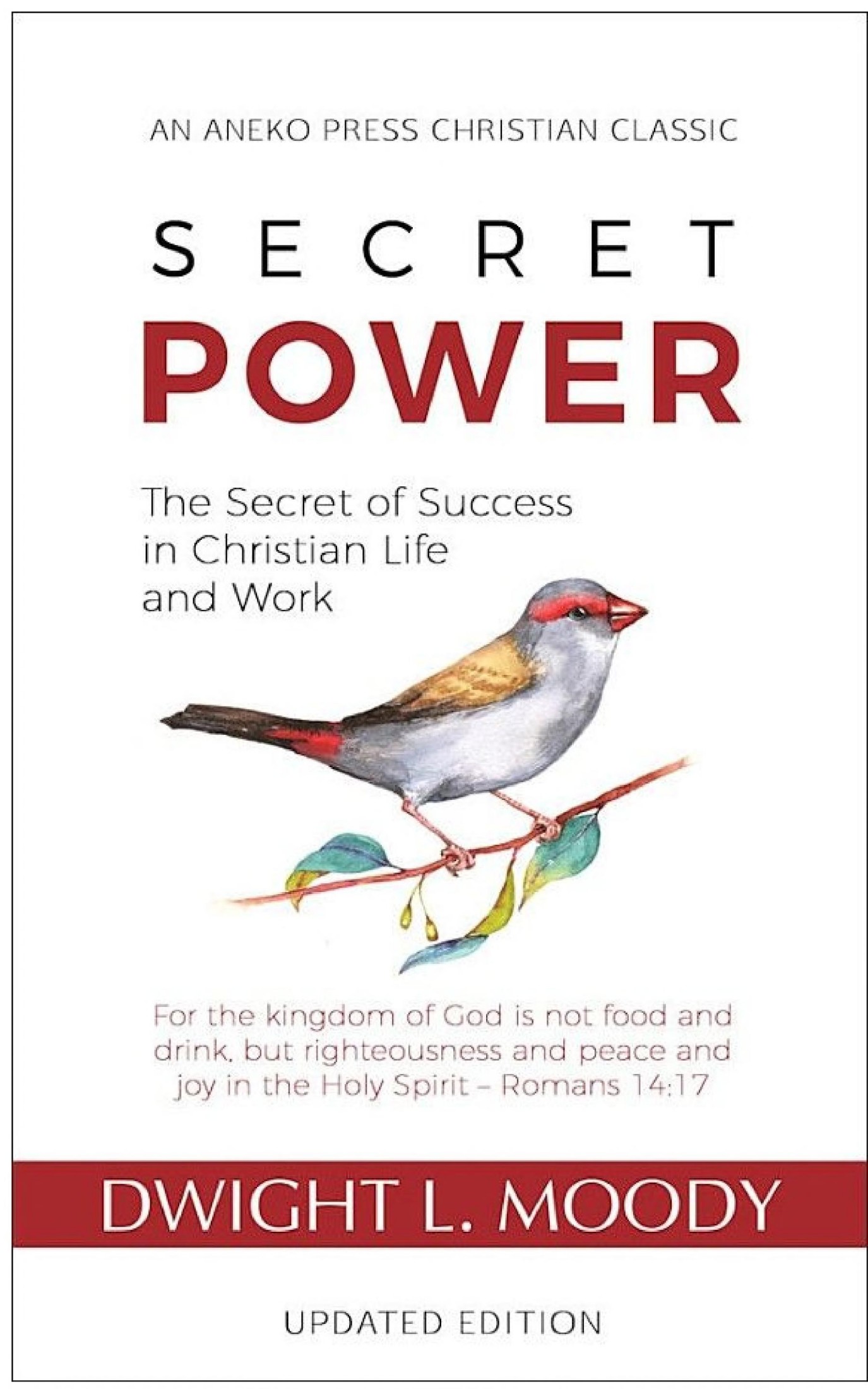 Secret Power: The Secret of Success in Christian Life and Work