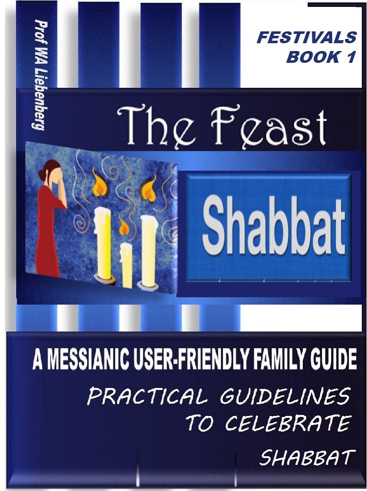 Shabbat: A Messianic User-Friendly Family Guide (Festivals Series Book 1)